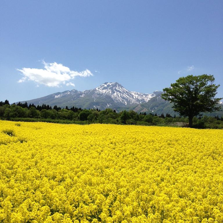 Hotel Alpen Blick Myoko Buitenkant foto